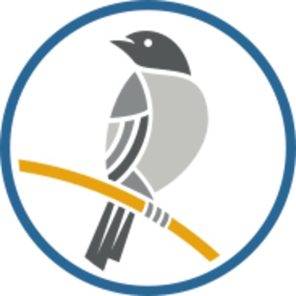 osceola clerk 2025 mockingbird ring color Thumbnail